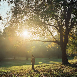 Navigating Brain Fog and Depression: Effective Strategies for Relief
