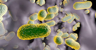 “Living Medicine” Cures Hospital-Acquired Infections
