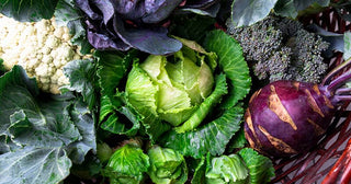 Natural Cancer-Fighter Does Even More For Your Health
