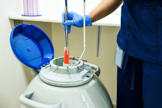 Once Scorned by the Establishment, Cryonics is Going Hollywood In a Big Way
