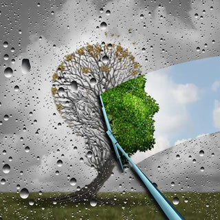 
Reverse Aging and Restore Cellular Function For a Longer Life

