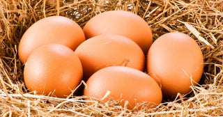 Shocking New Discovery on What Eggs Do to Your Heart
