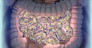 These Bacteria Can Make You Healthier – If You Let Them
