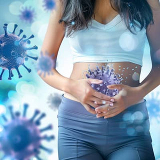 Top Probiotics for Women: Finding Your Gut Health Allies For Better Health
