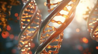 What Are Telomeres? A Comprehensive Guide to Aging
