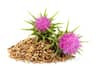 
Milk Thistle


