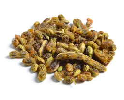 
Sophora japonica bud

