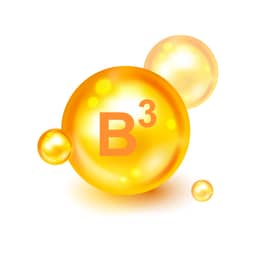 
Vitamin B3 Niacinamide

